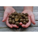 Топчета DB Hot Fish & GLM boilies DY1009