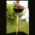 Лопатка за захранване Particle Baiting Spoon CTL003
