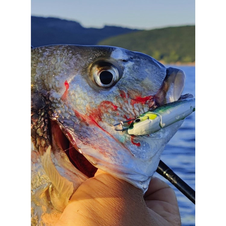 Силикон Storm 360GT Coastal Biscay Minnow BSCM09 BM