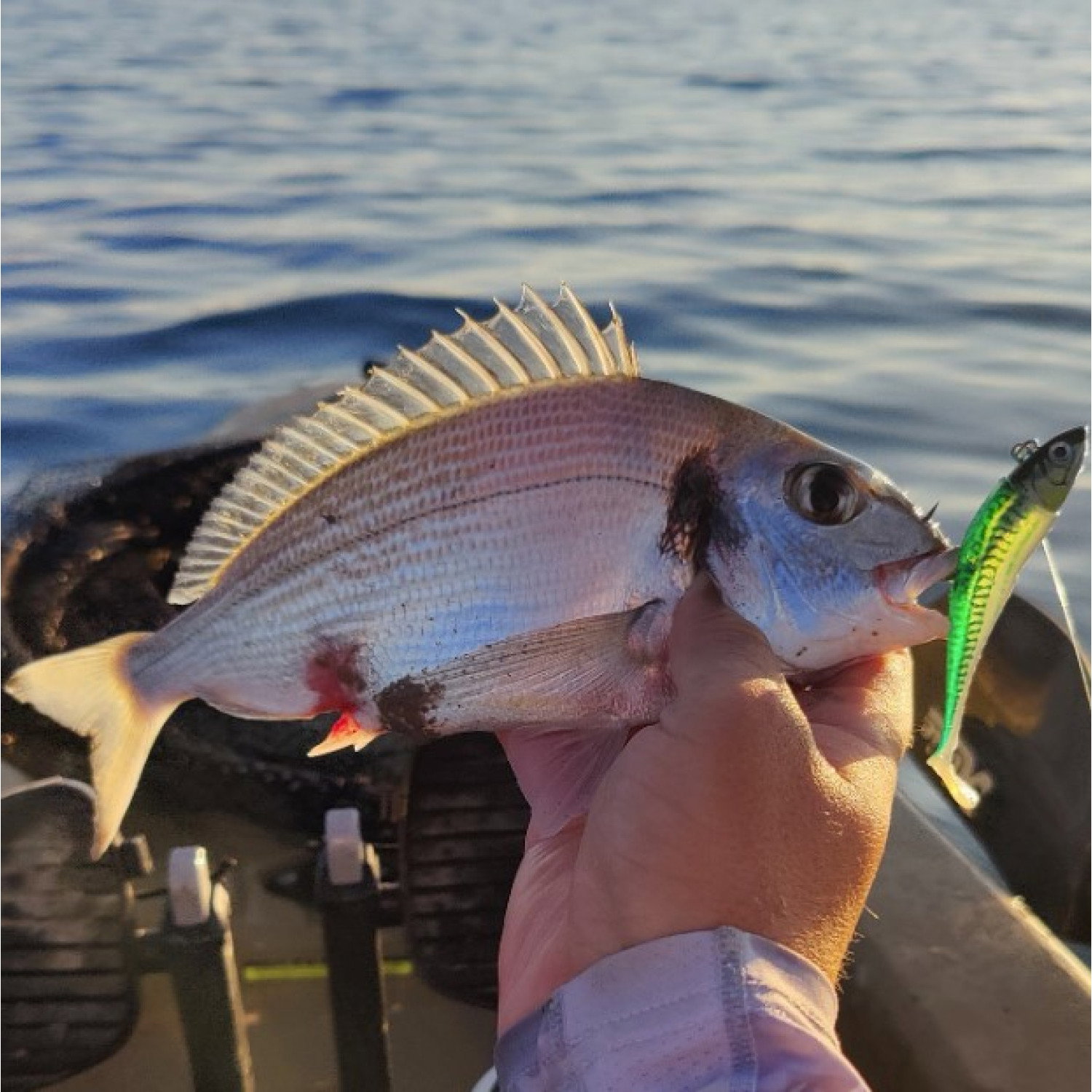 Силикон Storm 360GT Coastal Biscay Minnow BSCM09 BM