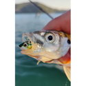 Силикон Storm 360GT Coastal Biscay Minnow BSCM09 BM