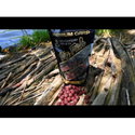 Протеинови топчета FilStar Premium Carp - Big Fish 951009