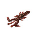 S834 - Goby