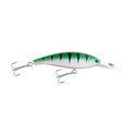 Silver Perch