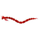 Bloodworm