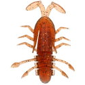 #740 - Chabane (Water Bugs)