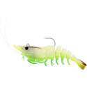 Glowing Shrimp