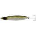 Green Sardine