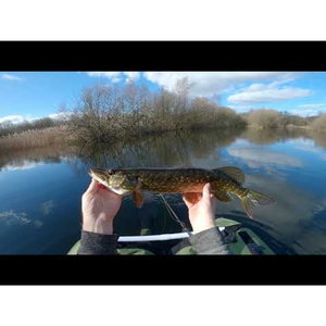 Проходилка Rapala FT 140 RA7818002