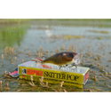 Воблер Skitter Pop SP05 - FT