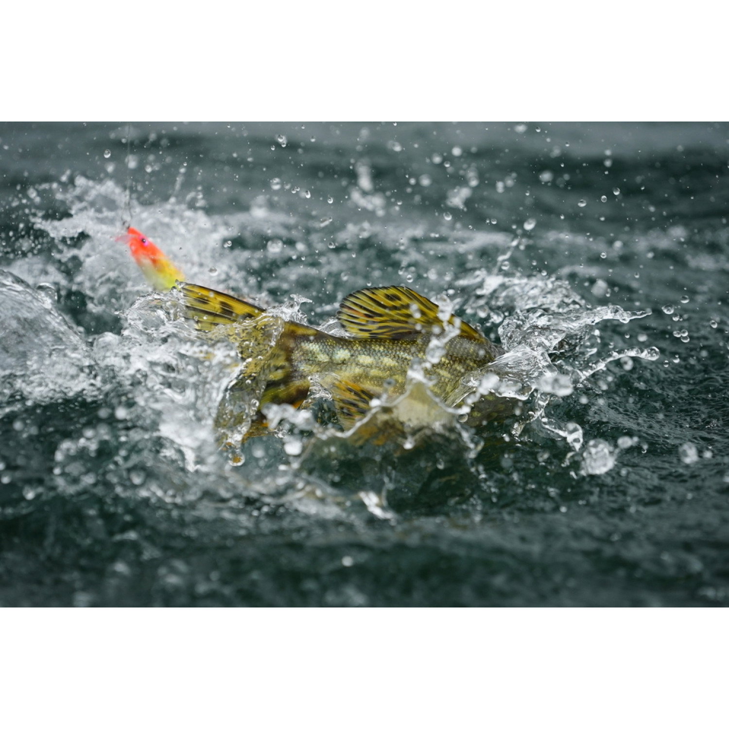Воблер BX Swimmer BXS12 - BBH