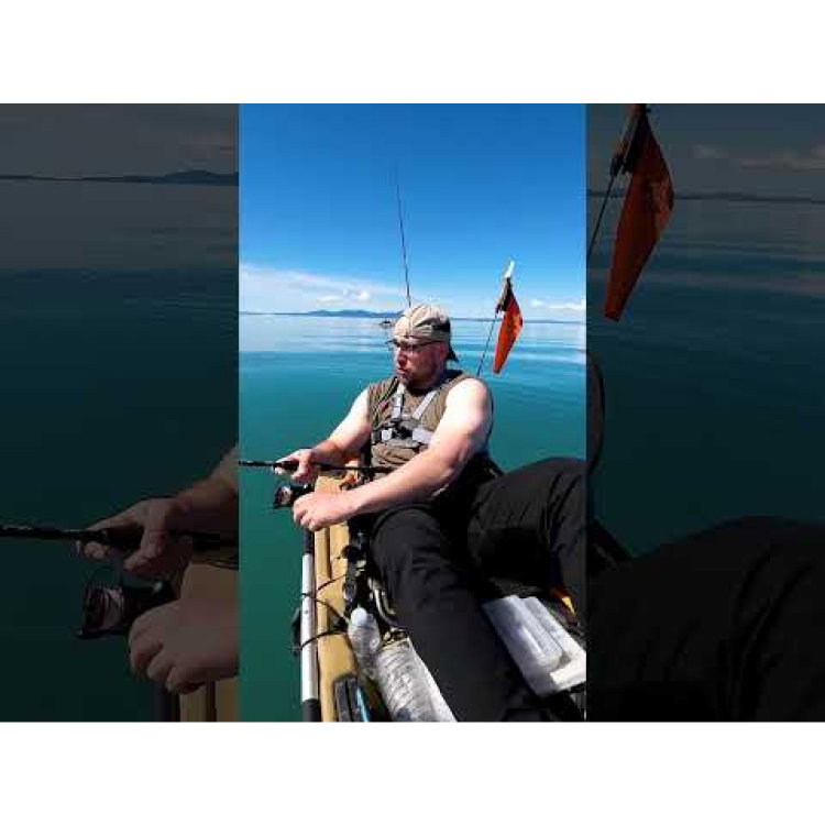 Воблер Hornet Deep Runner - потъващ QHT056