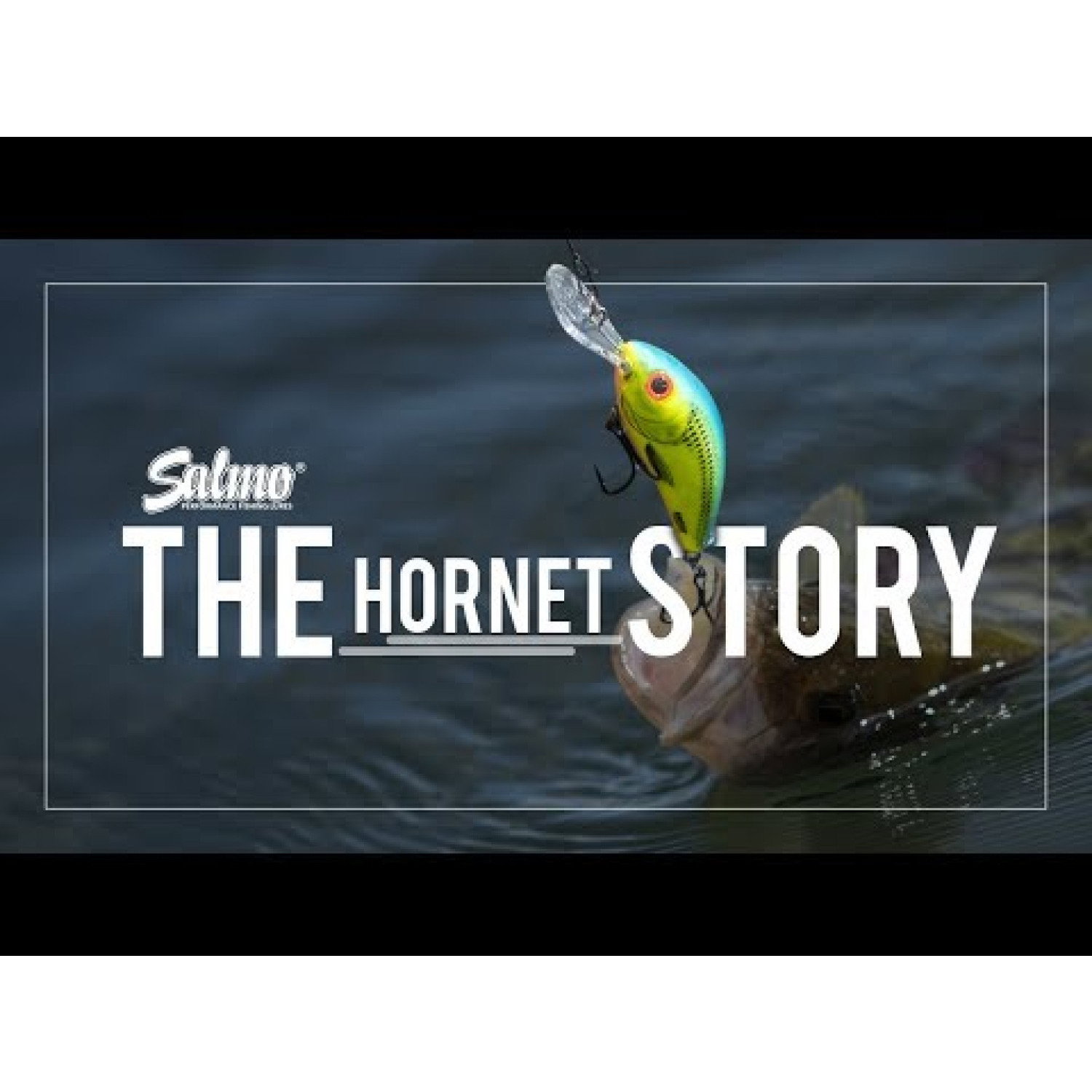 Воблер Hornet Deep Runner - потъващ QHT056