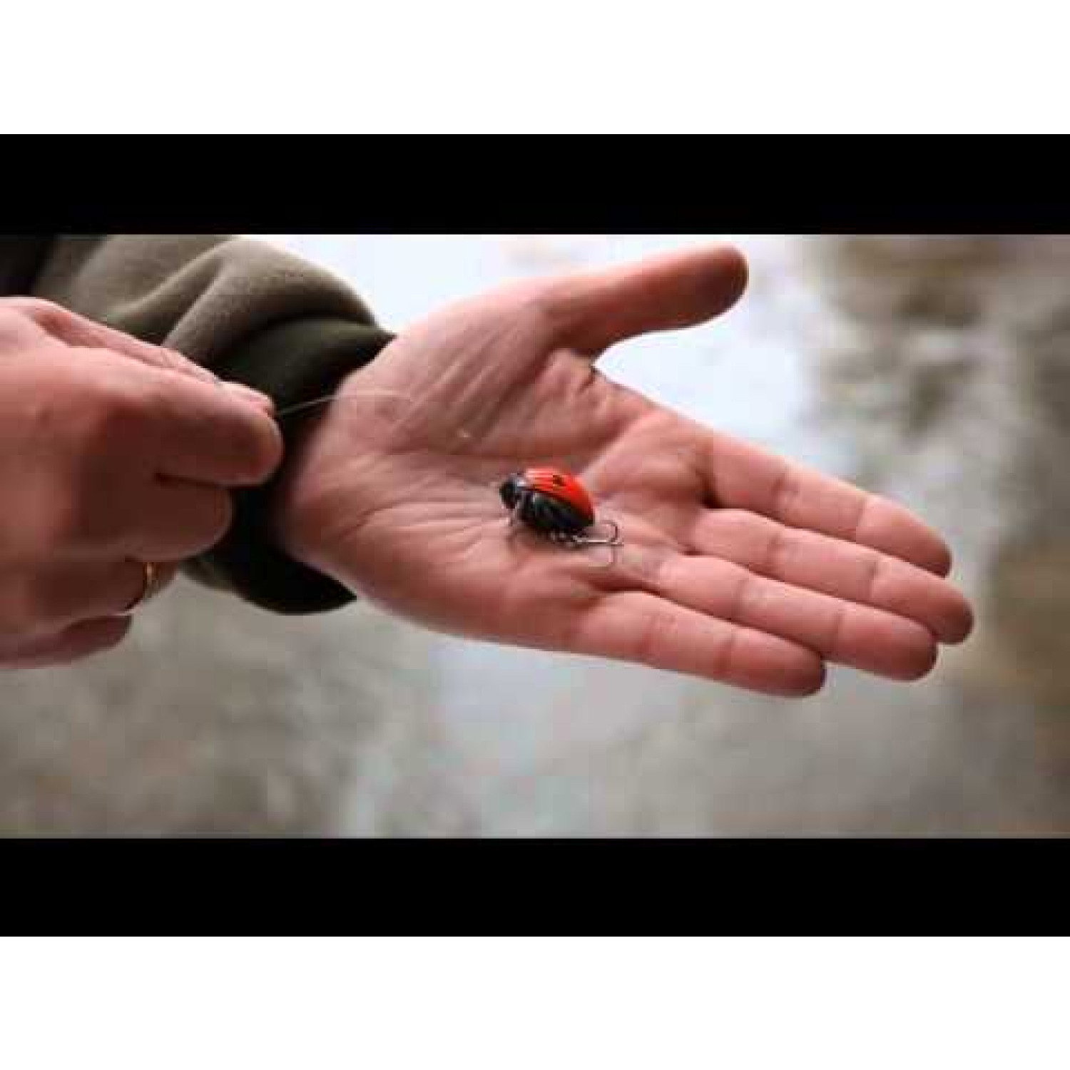 Воблер Lil`Bug - плуващ QBG003