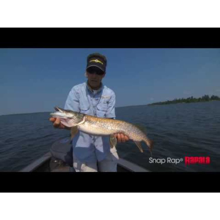 Воблер Snap Rap SNR08 - SSD
