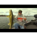 Воблер Scatter Rap Minnow SCRM11 - P