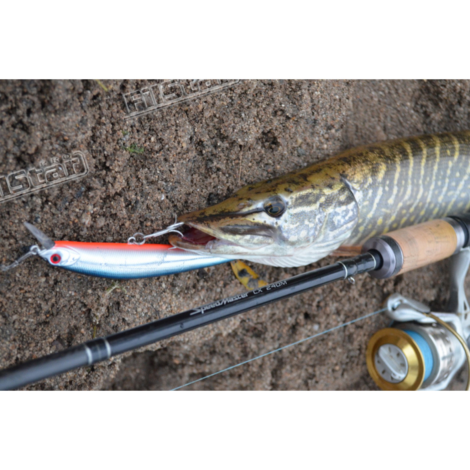 Воблер Sea Buzz - Terminator SX Minnow 120S 936179