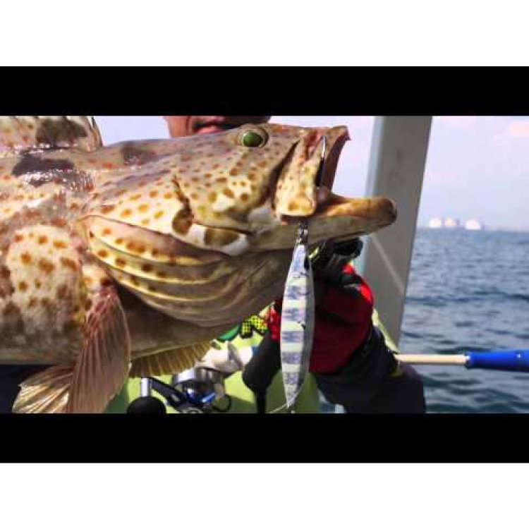 Пилкер Storm Gomoku Koika Jig KOIKA40DF3