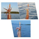 Калмарка DTD Soft Real Fish 80804 - SG