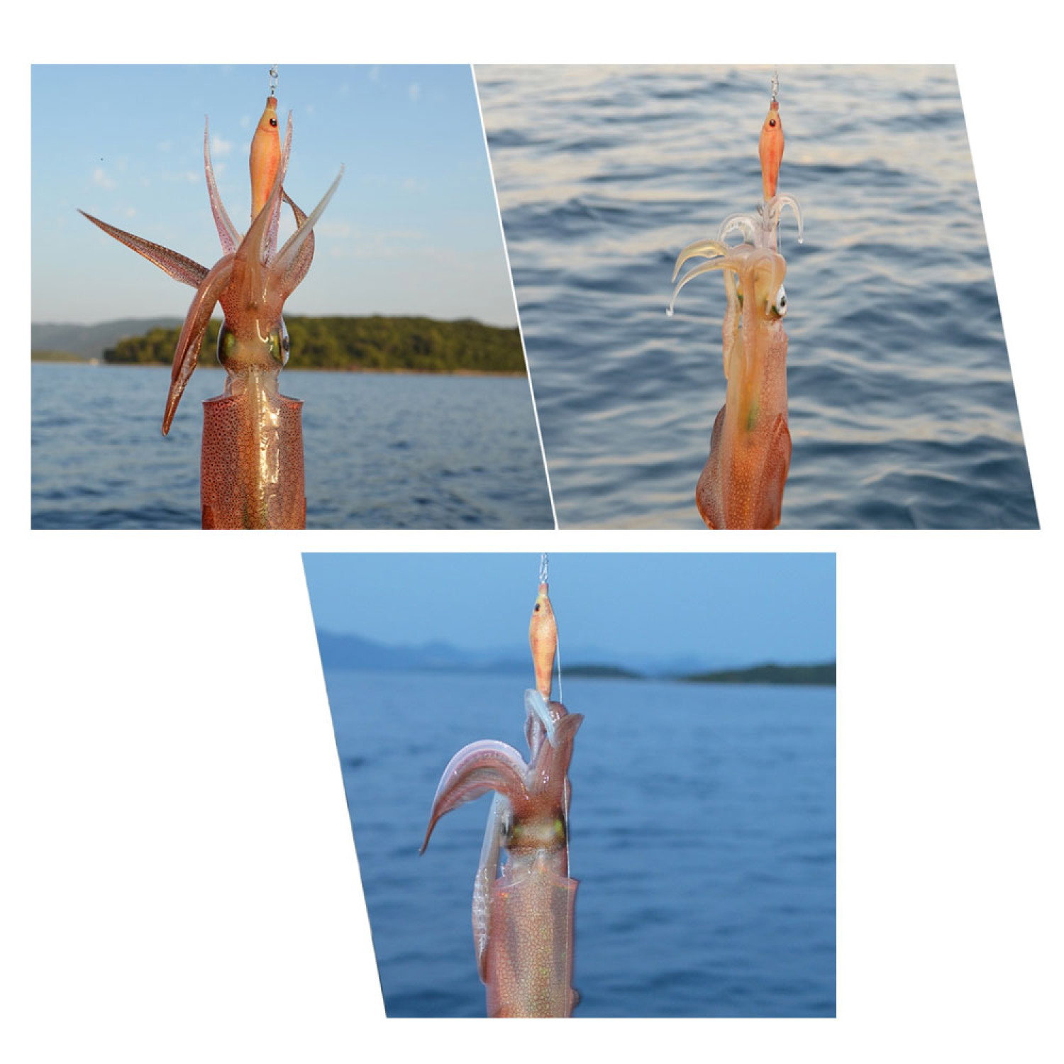 Калмарка DTD Soft Real Fish 80804 - SG