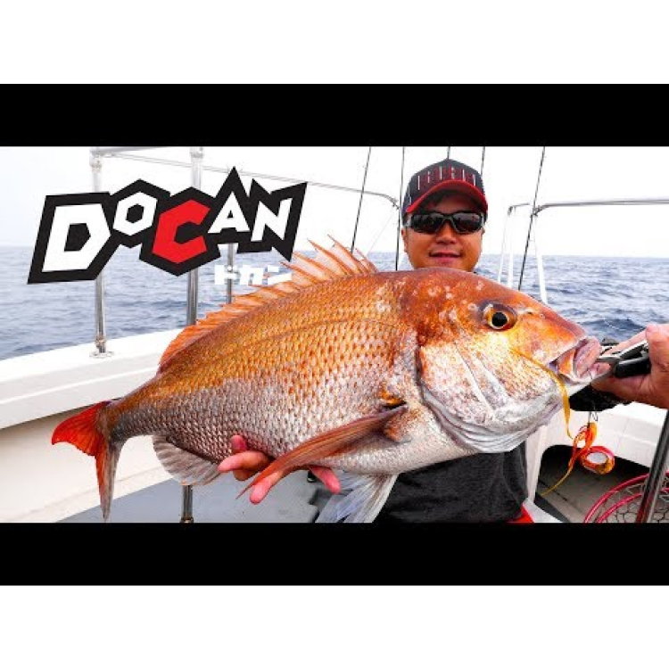 Примамка  Storm DoCan Snapper Ball DOS100 - BR