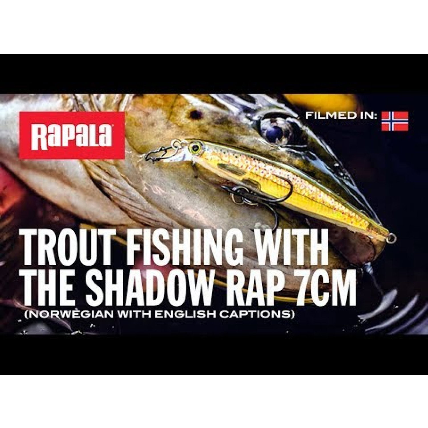 Воблер Shadow Rap - 7 cm SDR07 - SML
