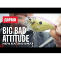 Воблер BX Big Brat BXBB06