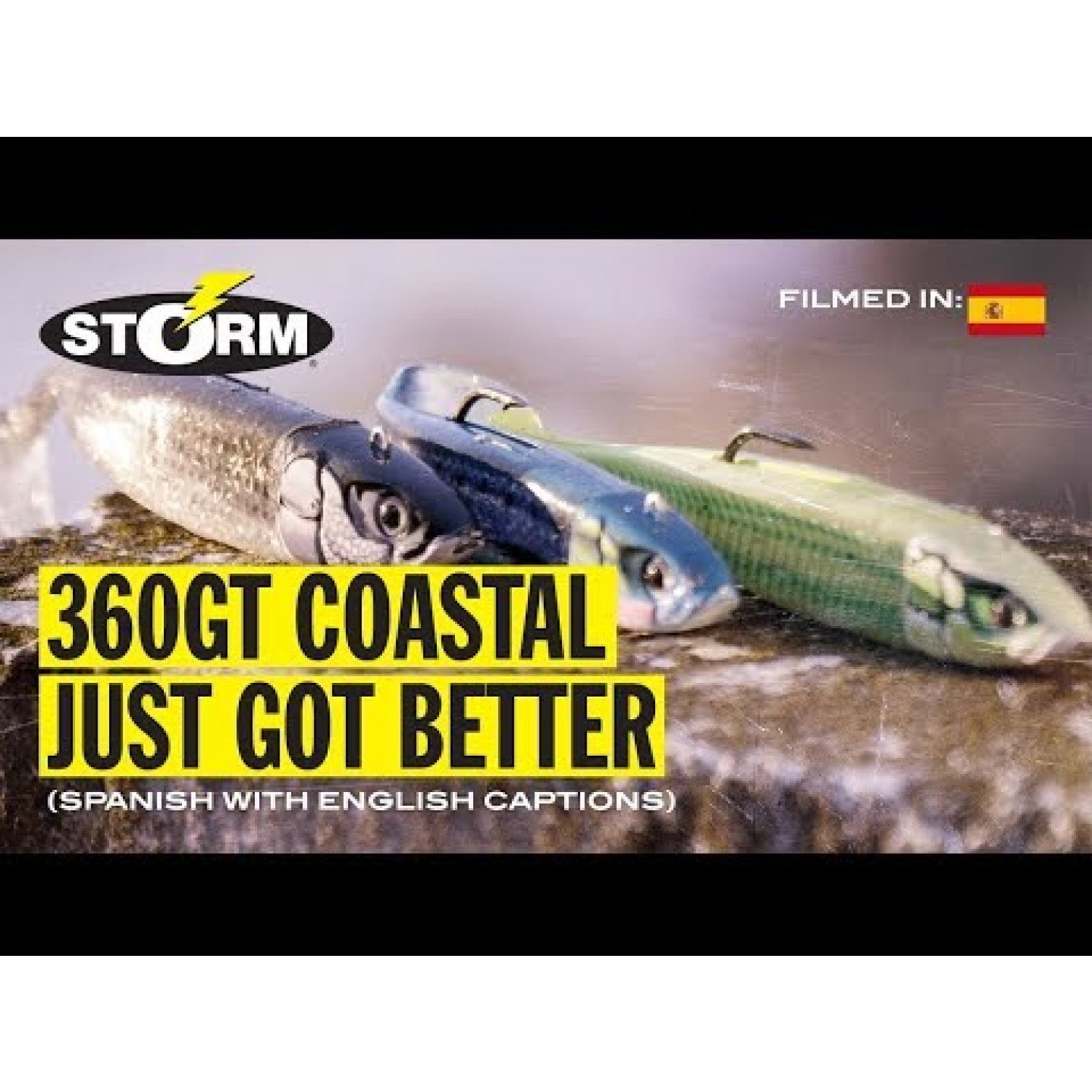Силикон Storm 360GT Coastal Biscay Minnow BSCM09 BM