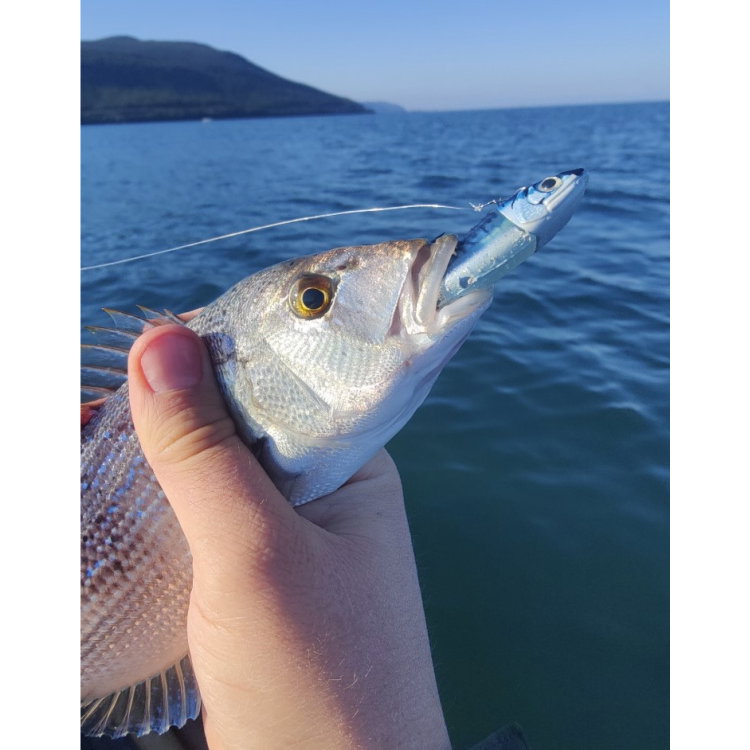 Силикон Storm 360GT Coastal Biscay Minnow BSCM09 BM
