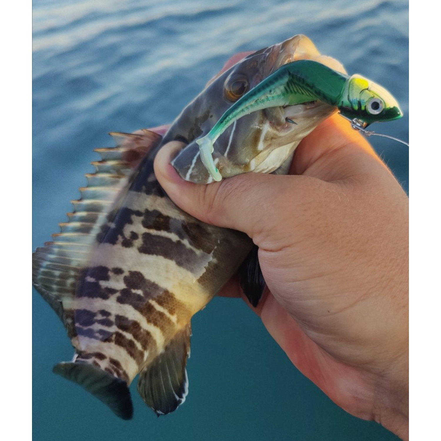 Силикон Storm 360GT Coastal Biscay Minnow BSCM09 BM