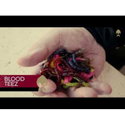 Силикон Westin - BloodTeez Worm P225-990-215