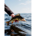 Воблер Rapala X-Rap Twitchin' Shad XRTS08 - FT