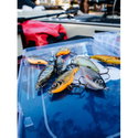 Воблер Rapala X-Rap Twitchin' Shad XRTS08 - FT
