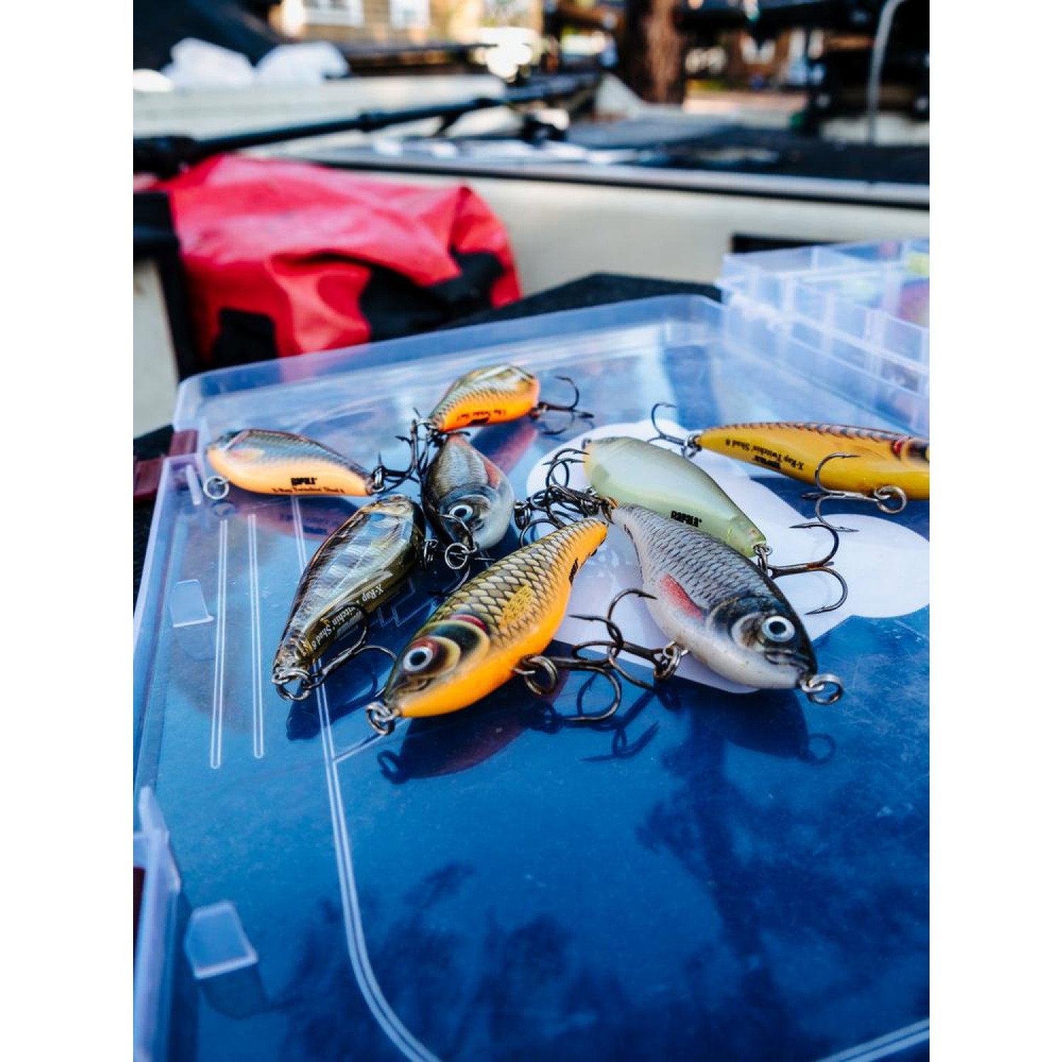 Воблер Rapala X-Rap Twitchin' Shad XRTS08 - FT