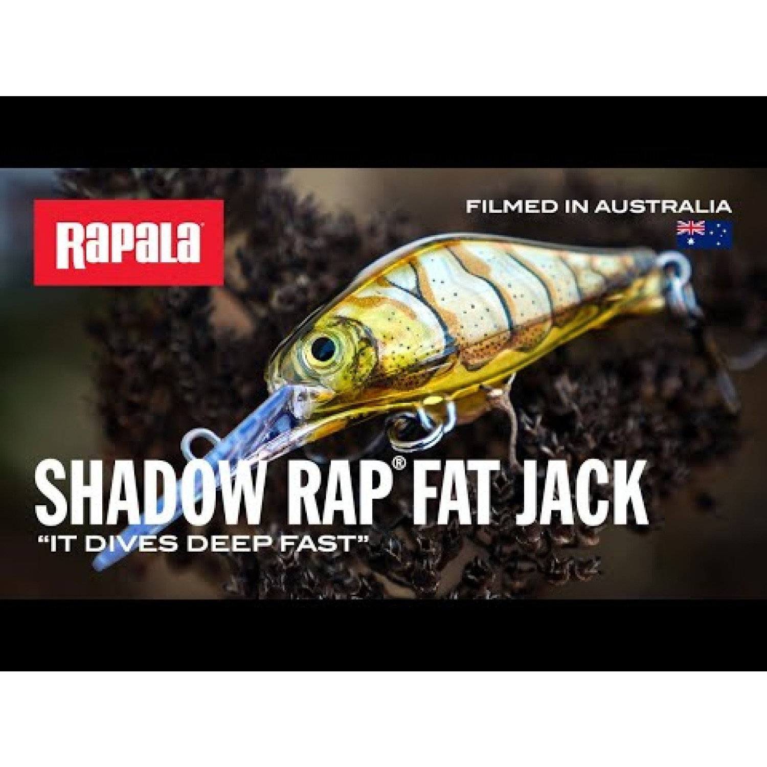 Воблер Shadow Rap Fat Jack SDRFJ04 - BLL