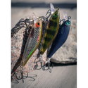 Воблер Shadow Rap Solid Shad SDRSS06 - AYU