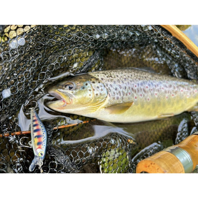 Воблер Shadow Rap Solid Shad SDRSS06 - AYU