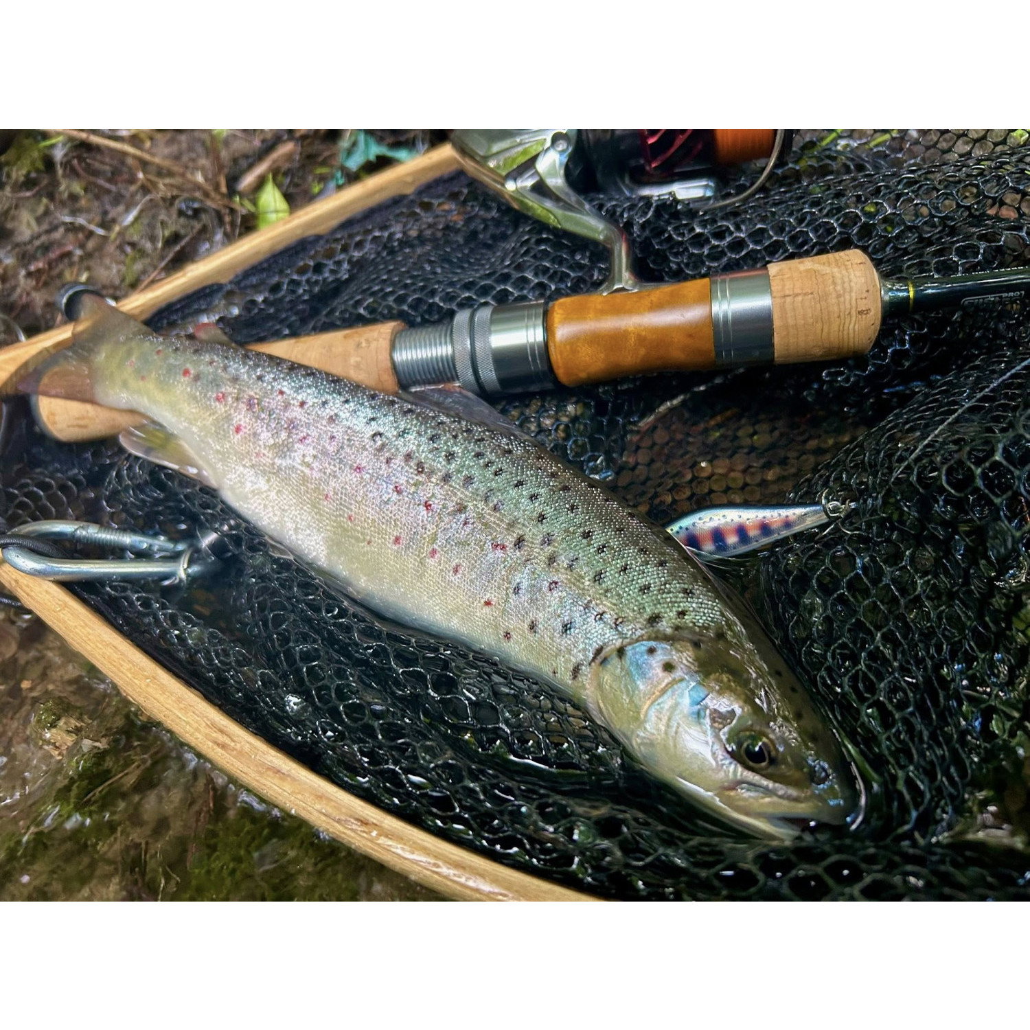 Воблер Shadow Rap Solid Shad SDRSS06 - AYU