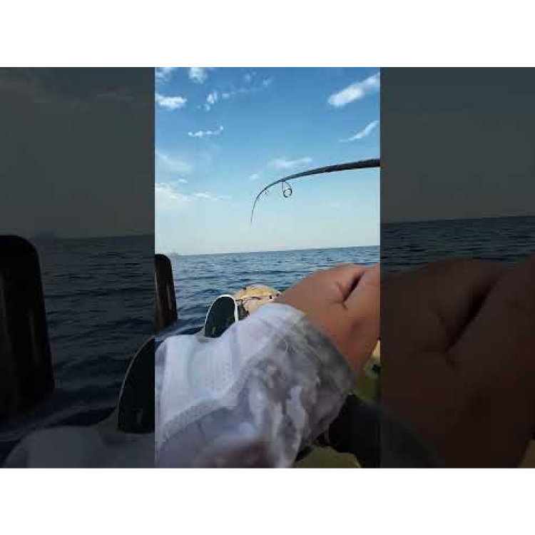 Въдица FilStar Blue Fish Jig 958701