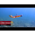 Силикон Westin CreCraw Creaturebait P151-560-130
