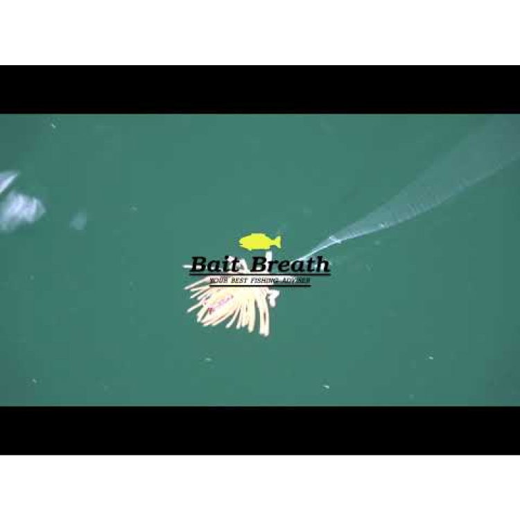 Силикон BB - No Look Bug 951079