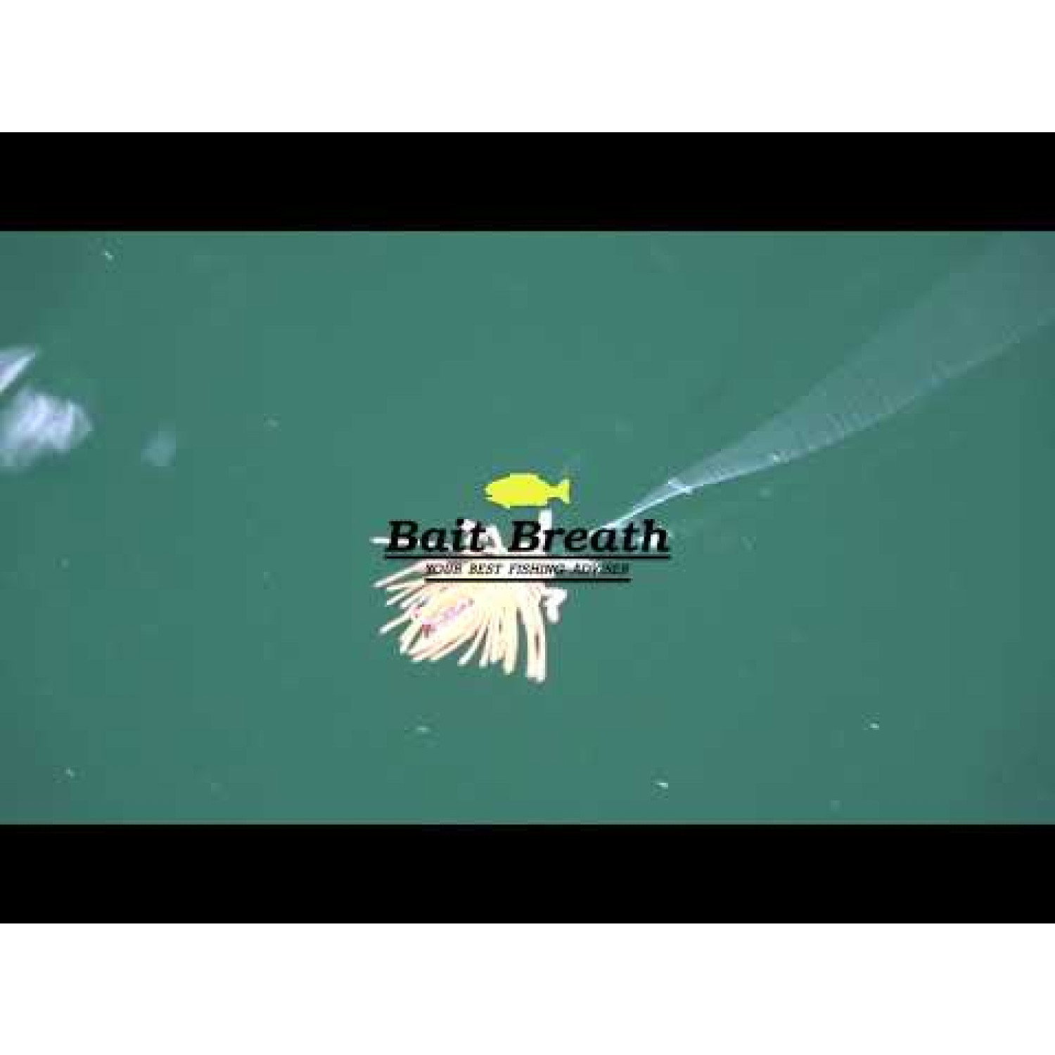 Силикон BB - No Look Bug 951079
