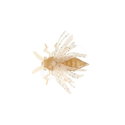 Силикон BB - No Look Bug 951079