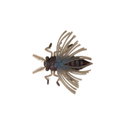 Силикон BB - No Look Bug 951079