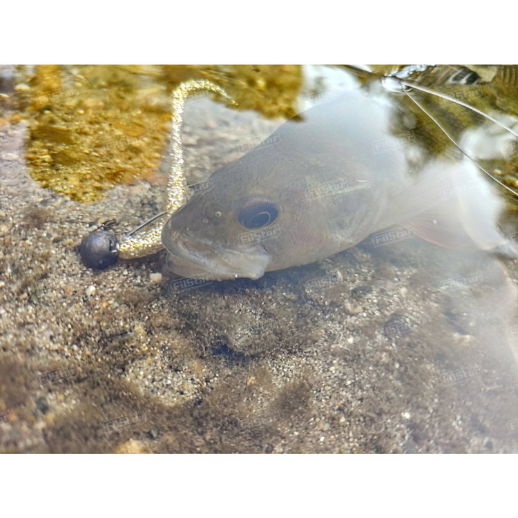 Силикон BB - Fish Curly 951099