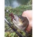 Силикон BB - Rush Craw SW 951111
