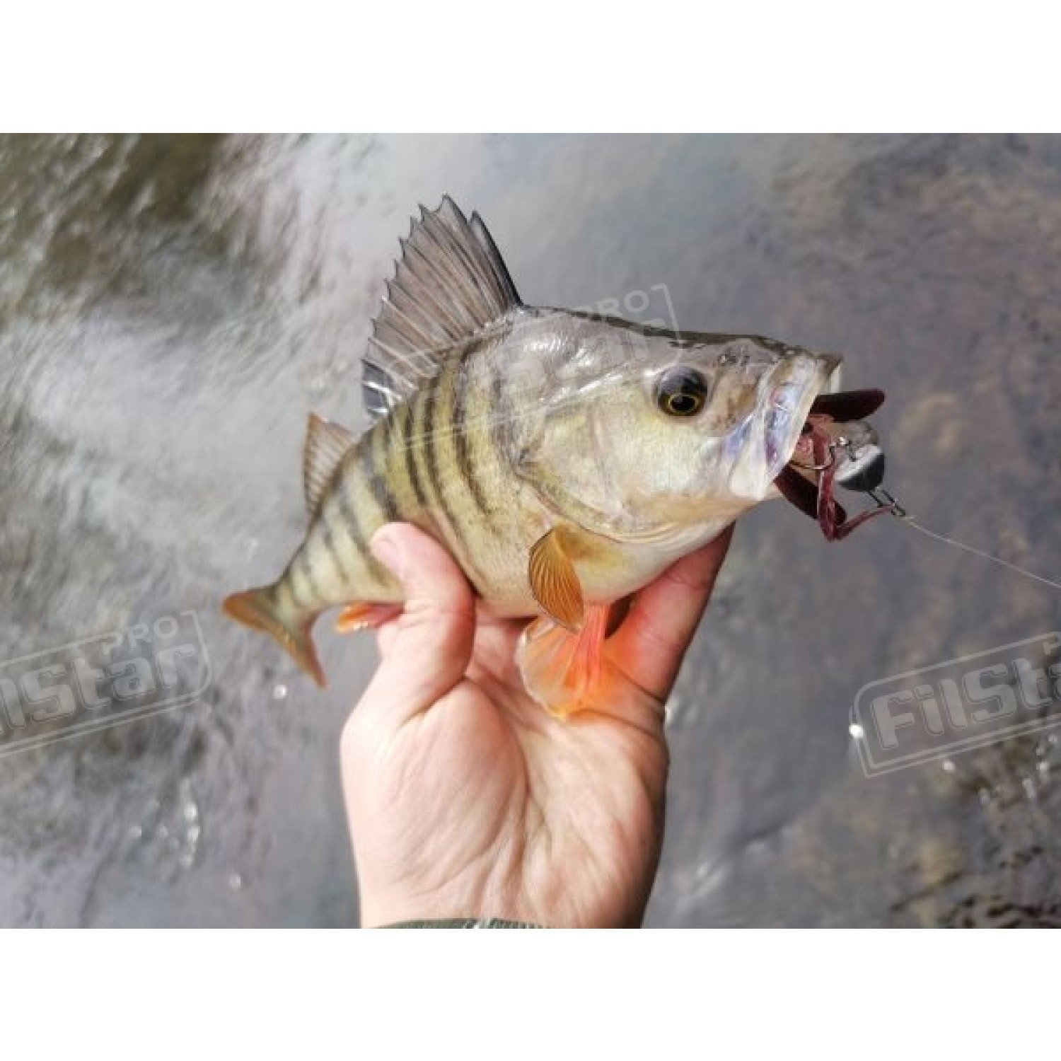 Силикон BB - Rush Craw SW 951111