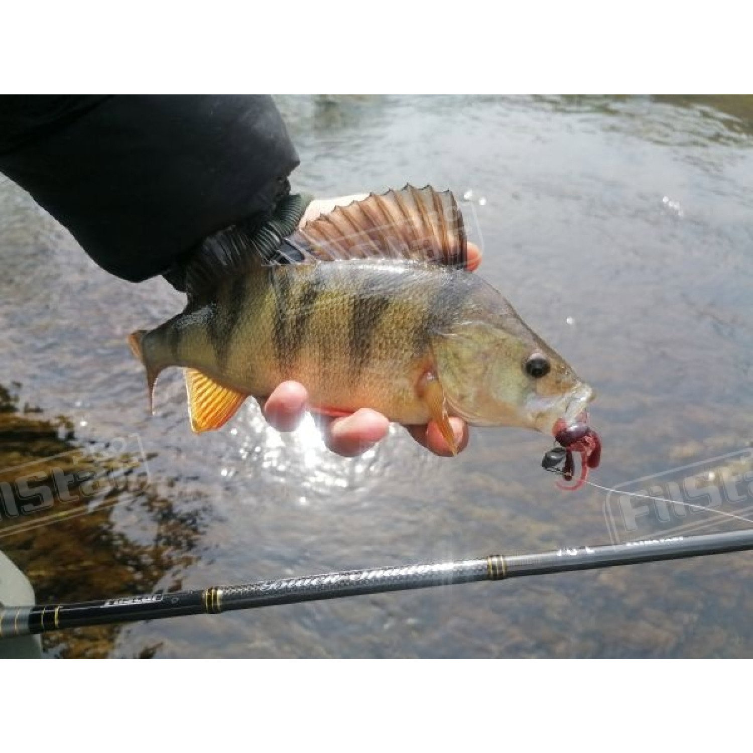 Силикон BB - Rush Craw SW 951111