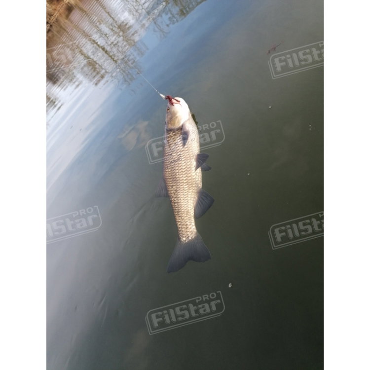 Силикон BB - Rush Craw SW 951111