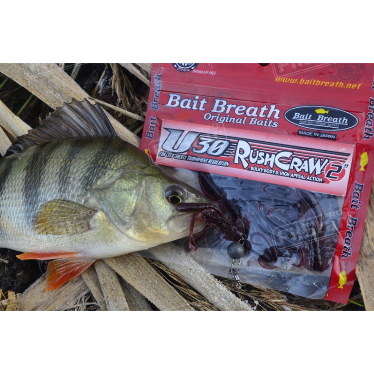 Силикон BB - Rush Craw SW 951111
